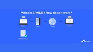 How to Set Up SPF for Clever Elements_ (17)