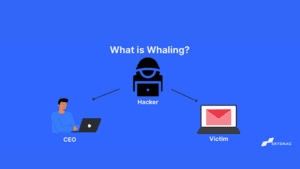 "Learn about whaling, a targeted phishing attack aimed at executives and high-level personnel. Discover prevention strategies to protect your organization from these sophisticated cyber threats."