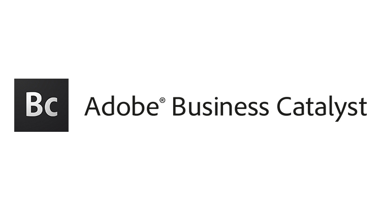 Adobe Business Catalyst