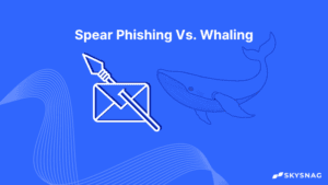 Spear-phishing-whaling-dmarc-skysnag-1